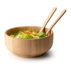 ContinentaSchüssel 26 cm Gummibaum