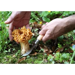 OpinelPilzmesser N°08 8 cm Buche