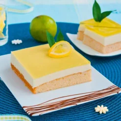 StädterBackrand verstellbar Edelstahl 25-50 x 22-41 cm H. 7 cm