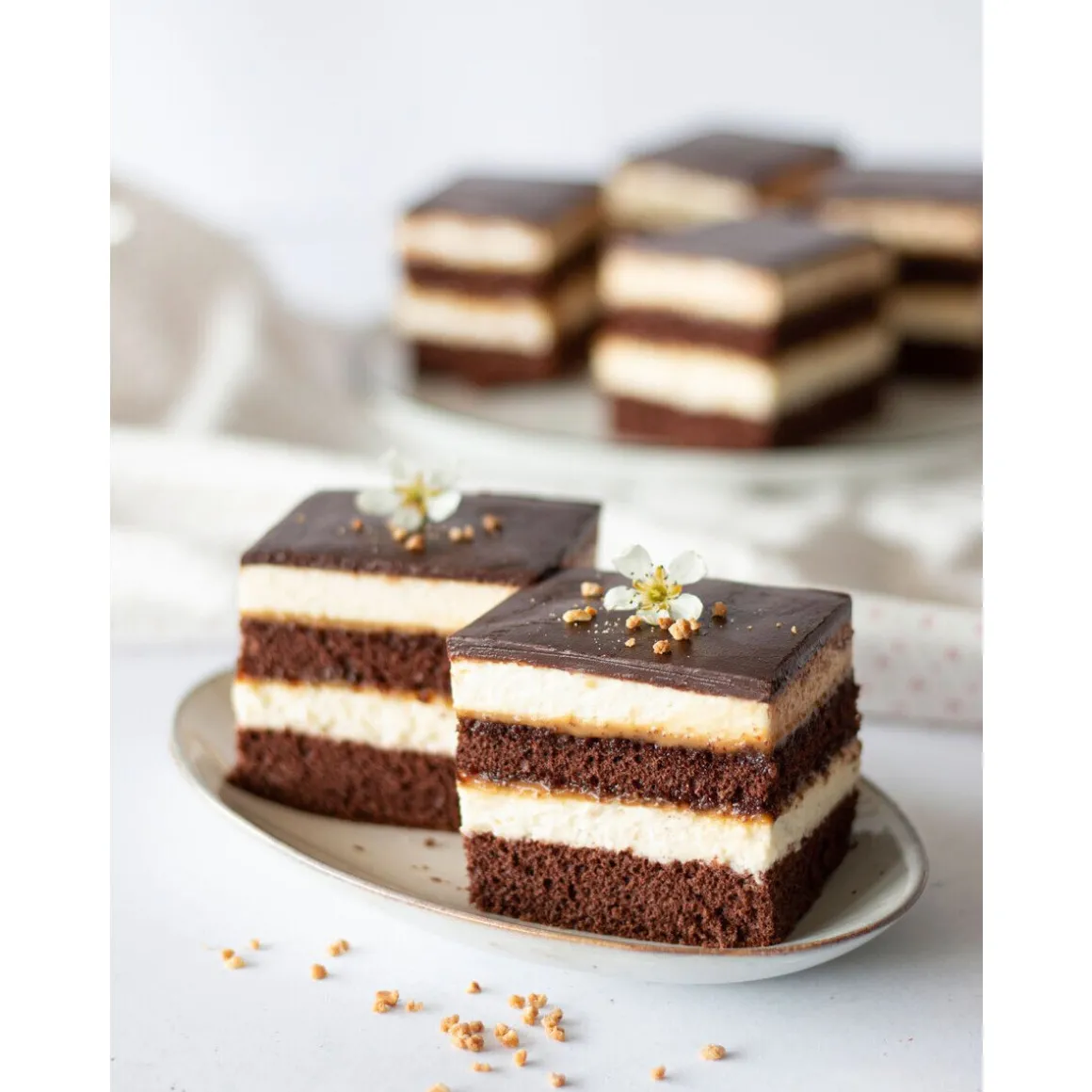 StädterBackrand verstellbar Edelstahl 25-50 x 22-41 cm H. 7 cm