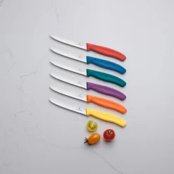 VictorinoxTomaten- und Tafelmesser 11 cm Swiss Classic grün