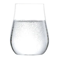 Zwiesel GlasAllround Tumbler 2er-Set Kolibri Kristall mit Moussierpunkt
